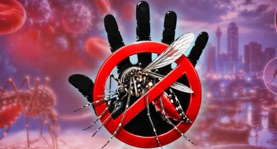 Legal Action Against 10,000 as Dengue Cases Rise